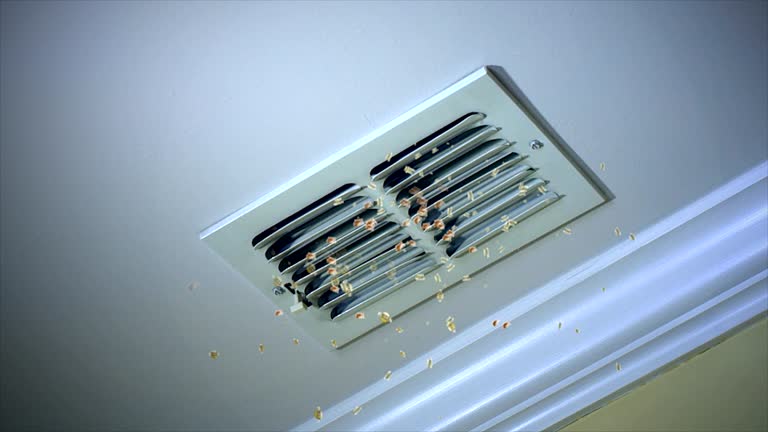 Best Professional Duct Cleaning Services  in Garrett, TX