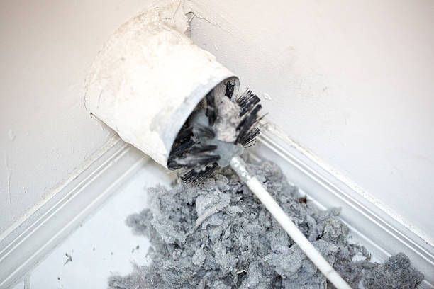 Air Duct Mold Removal in Garrett, TX